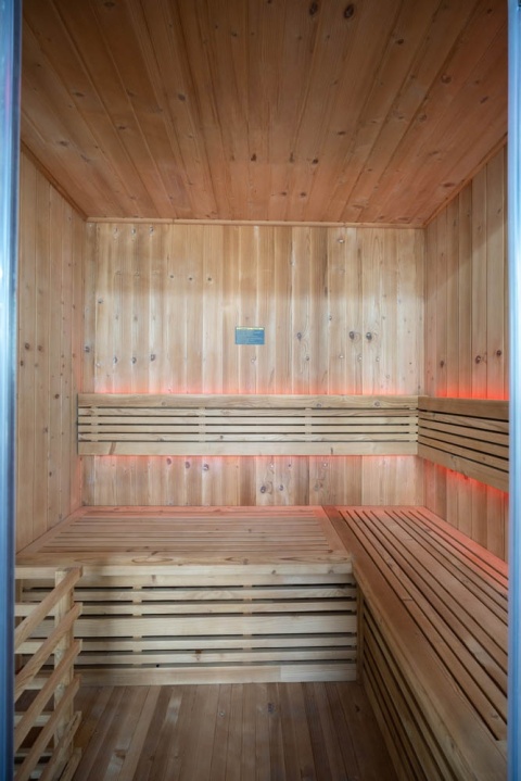 Sauna ogrodowa sucha z piecem HARVIA 8kW 175x130x200 cm 3 osobowa