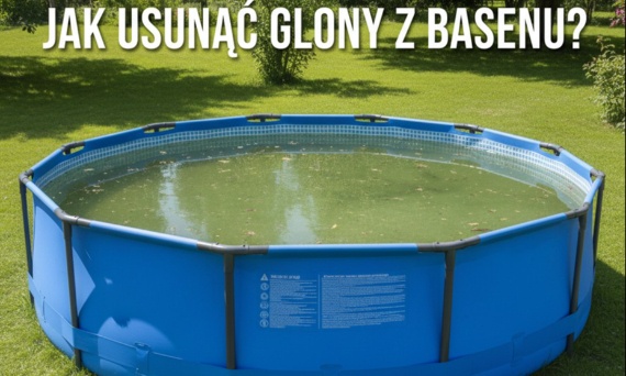 Glony w basenie - zwalczanie i zapobieganie